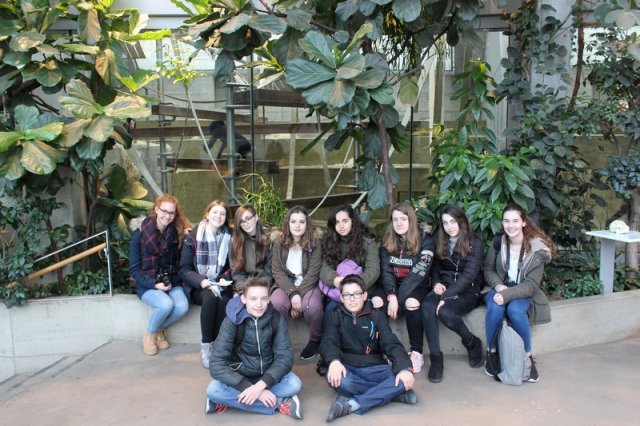 Intercambio_alemania